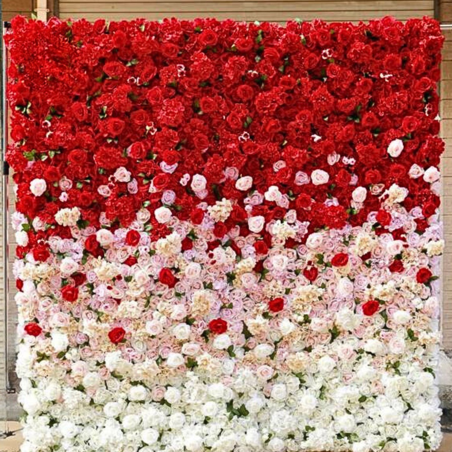 Blumenphotozone "Rot"